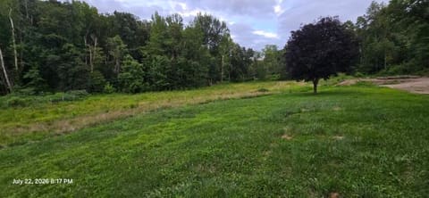 721 721 Swampy Hollow Rd Road, Owingsville, KY 40360 — photo 3