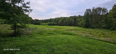 721 721 Swampy Hollow Rd Road, Owingsville, KY 40360 — photo 4
