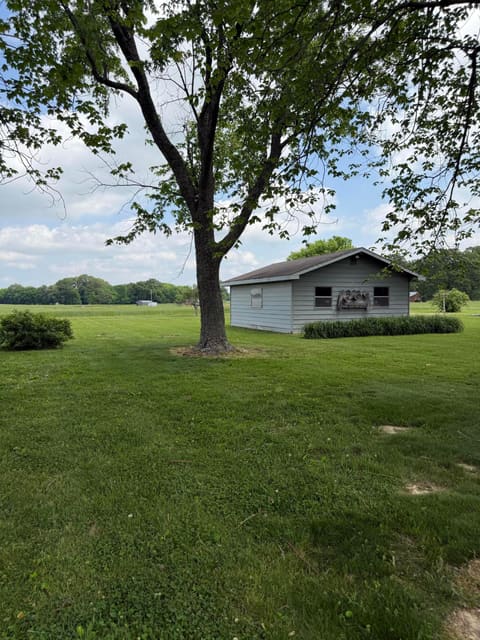 486 St Rt 348, Symsonia, KY 42082 — photo 5