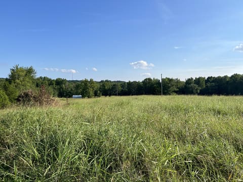 829 Poplar Springs Drive, Murray, KY 42071 — photo 3