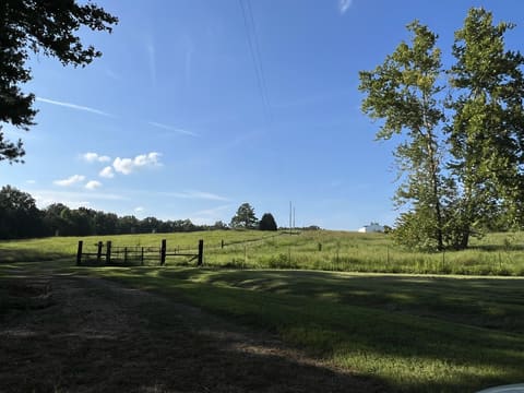 829 Poplar Springs Drive, Murray, KY 42071 — photo 4
