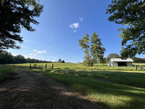 829 Poplar Springs Drive, Murray, KY 42071 — photo 5