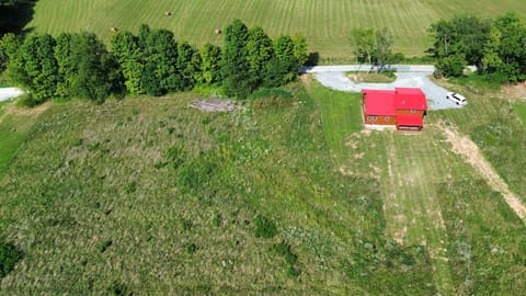 191 Cord Lane, Ewing, KY 41039 — photo 4