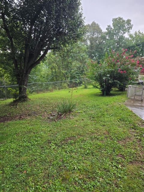 21 Incline Road, Burnside, KY 42519 — photo 4