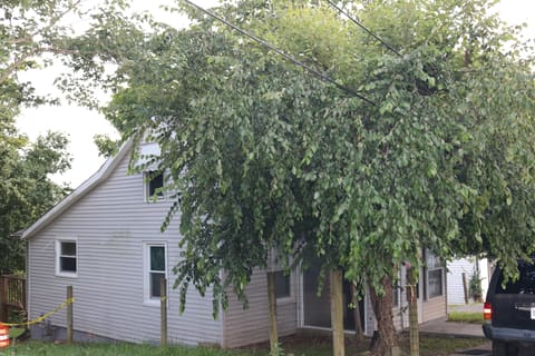 222 Morgan Street, Carlisle, KY 40311 — photo 3