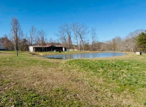 133 Clay Lick Road, Means, KY 40346 — photo 2