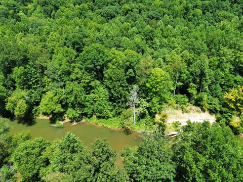 139 Kilbreth Lane, Garrison, KY 41141 — photo 4