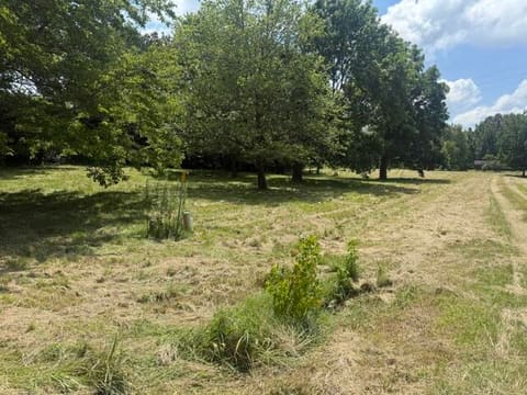 8120 Woodville Road, West Paducah, KY 42086 — photo 3