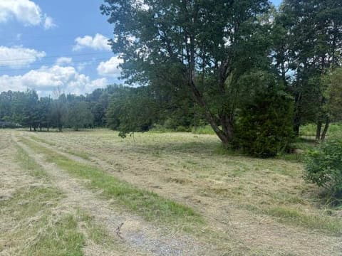 8120 Woodville Road, West Paducah, KY 42086 — photo 4