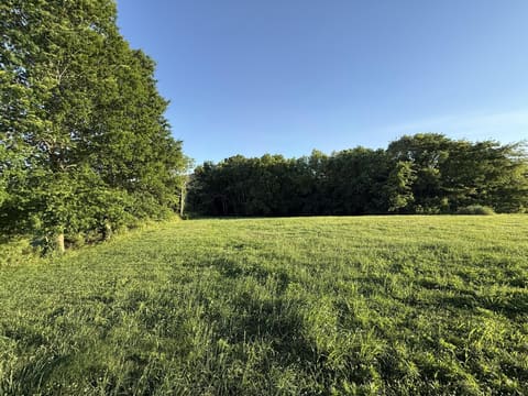 1397 Watts Road, Trenton, KY 42286 — photo 3