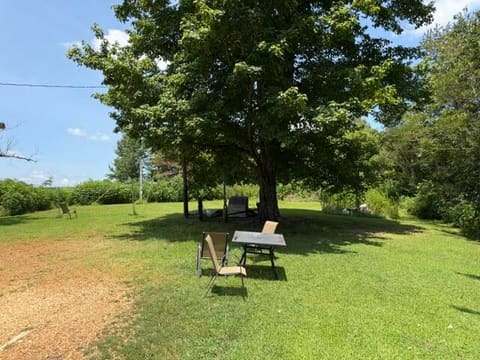 5518 S ST RT 339, Mayfield, KY 42066 — photo 4