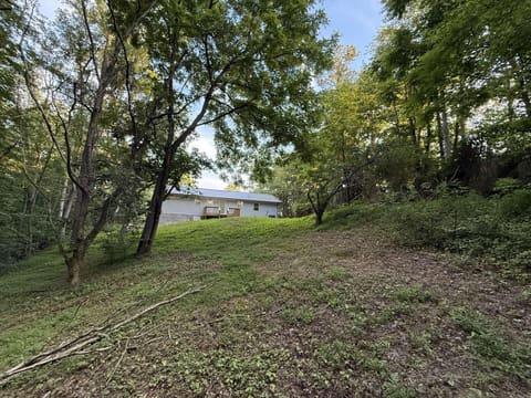 2129 Pig Skin Road, Stearns, KY 42647 — photo 4