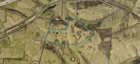3884. Stepstone Road, Owingsville, KY 40360 — photo 4