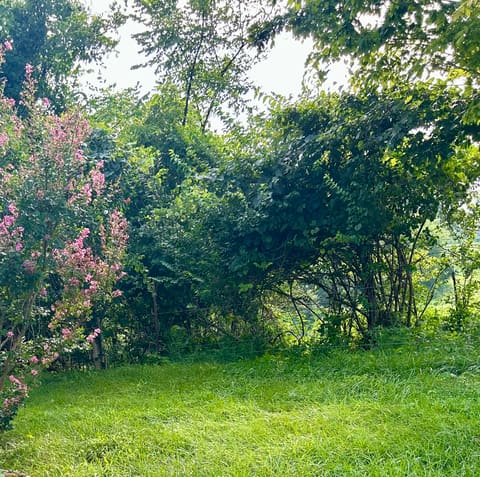 3192 Poosey Ridge Road, Richmond, KY 40475 — photo 4