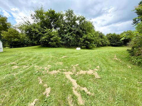 180 Russell Branch Rd Road, Harrodsburg, KY 40330 — photo 3