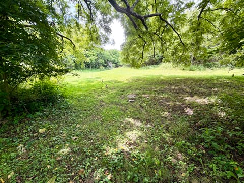 180 Russell Branch Rd Road, Harrodsburg, KY 40330 — photo 4