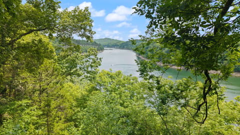 217 S Riverwood Road, Bronston, KY 42518 — photo 3