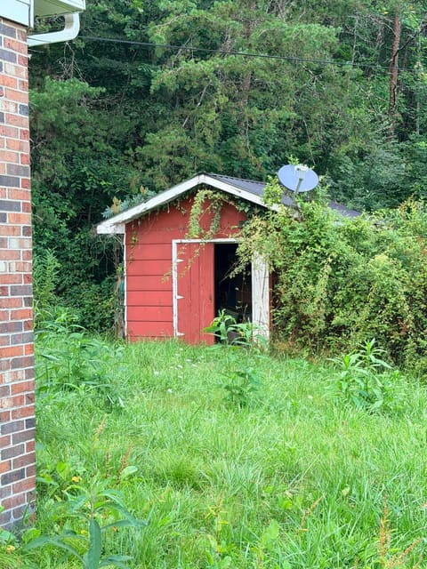 8683 U.S. 119, Calvin, KY 40813 — photo 3