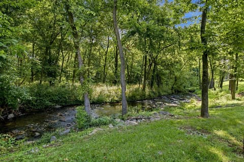 4344 Steamboat Road, Lexington, KY 40514 — photo 4