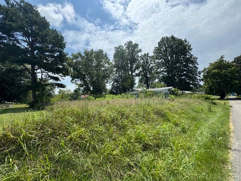 150 Stevens Street, Eubank, KY 42567 — photo 2