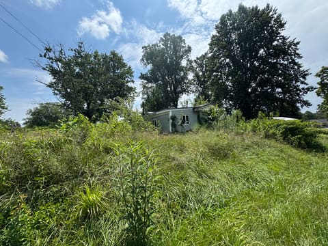 150 Stevens Street, Eubank, KY 42567 — photo 3