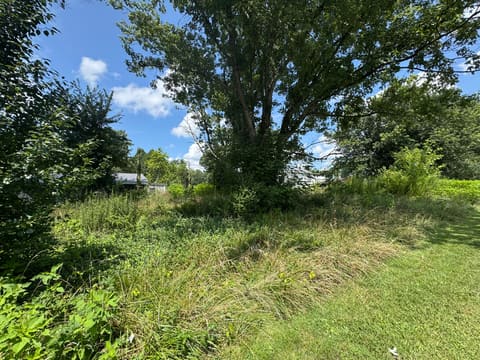 150 Stevens Street, Eubank, KY 42567 — photo 5