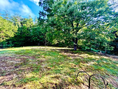 226 Bull Run Spur Rd, Barbourville, KY 40906 — photo 2
