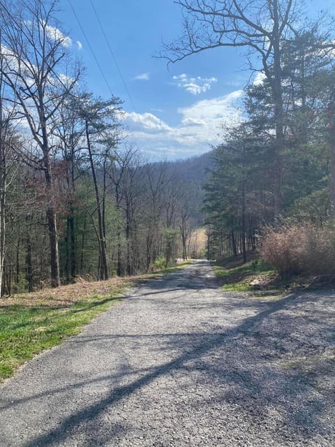 11598 Red Lick Road, Irvine, KY 40336 — photo 3