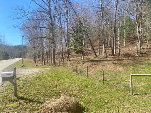 11598 Red Lick Road, Irvine, KY 40336 — photo 4