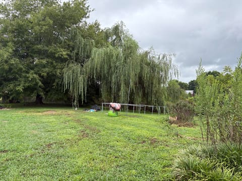 448 Keavy Craigs Creek Road, London, KY 40744 — photo 2