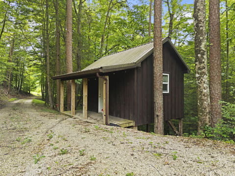572 Paradise Drive, Rogers, KY 41365 — photo 5
