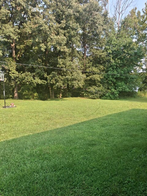 204 Meadowview Drive, Means, KY 40346 — photo 3