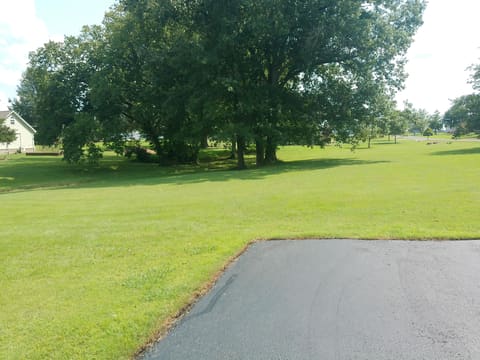 170 Carriage Lane, Benton, KY 42025 — photo 3