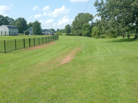 170 Carriage Lane, Benton, KY 42025 — photo 5