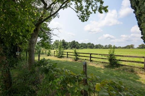 1056 Winding Oak Trail, Lexington, KY 40511 — photo 5