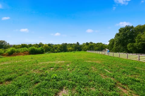 337 Wolverine Way, Richmond, KY 40475 — photo 4