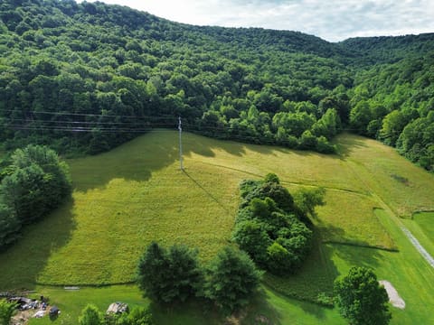 3149 Salt Lick Road, Vanceburg, KY 41179 — photo 5