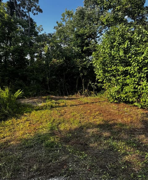 151 Walter Crabtree Road, Pine Knot, KY 42635 — photo 4