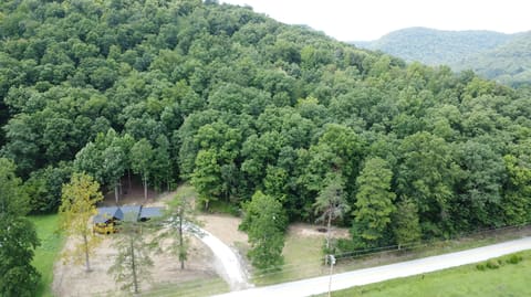 7070 Red Lick Road, Irvine, KY 40336 — photo 3