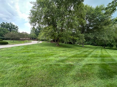 132 Lana Lane, Winchester, KY 40391 — photo 3