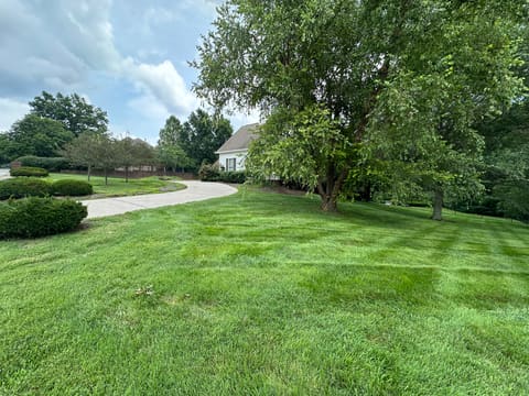 132 Lana Lane, Winchester, KY 40391 — photo 5