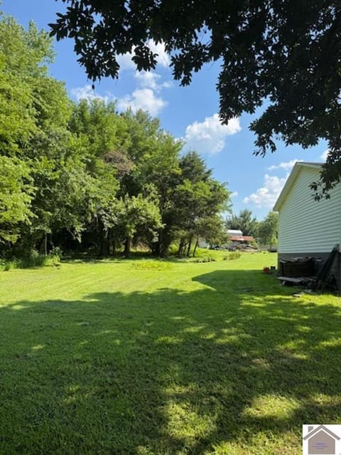 172 Mobile Heights, Mayfield, KY 42066 — photo 4