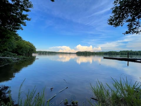 413 Shore Drive, Cadiz, KY 42211 — photo 5