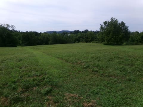 7121 Camargo Levee Road, Jeffersonville, KY 40337 — photo 4