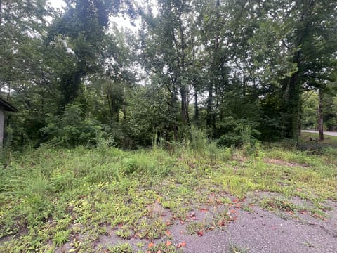 6731 KY-66, Arjay, KY 40902 — photo 2