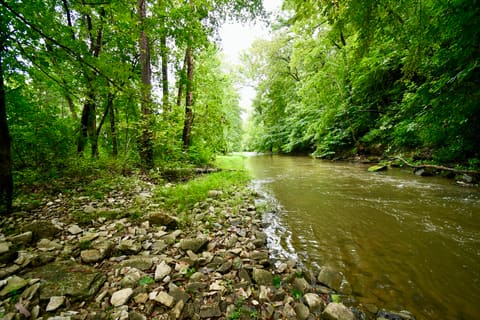 7510 Athens Boonesboro Road, Lexington, KY 40509 — photo 4
