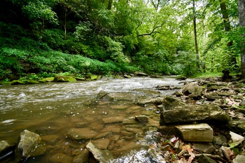 7510 Athens Boonesboro Road, Lexington, KY 40509 — photo 5