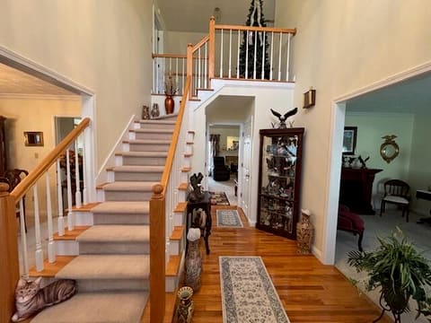 229 Shearwood Avenue, Somerset, KY 42503 — photo 4