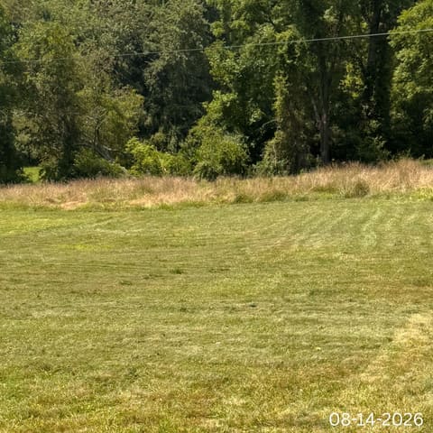 210 Fannin-Roscoe Road, Sandy Hook, KY 41171 — photo 4