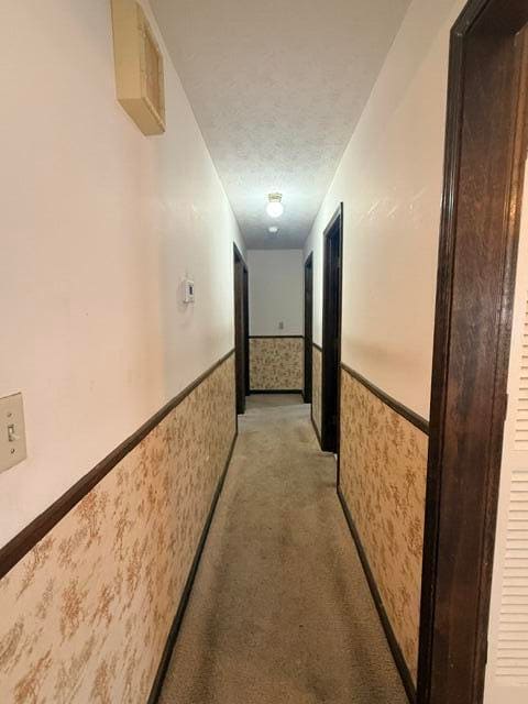 101 Southern Boulevard, Somerset, KY 42501 — photo 5